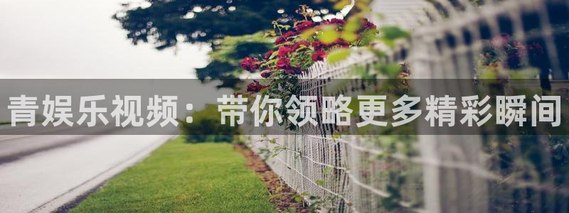 彩神vii官方