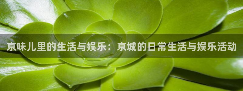 彩神vii官方