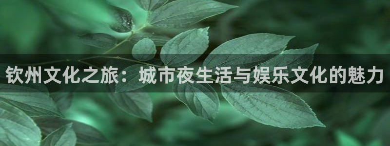 彩神vii官方