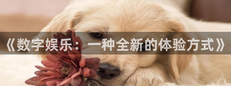 彩神vii官方