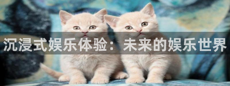 彩神vii官方