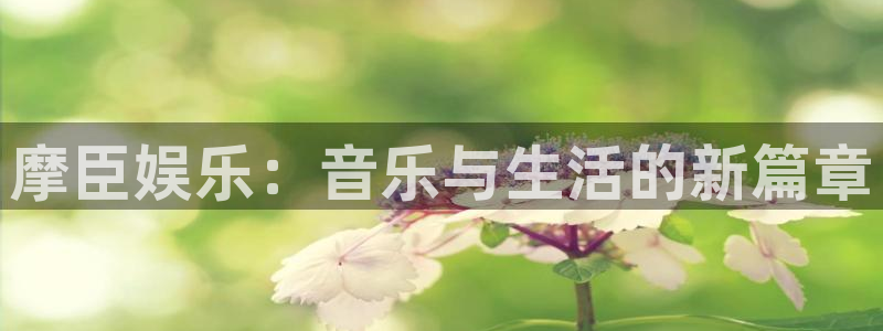 彩神vii官方