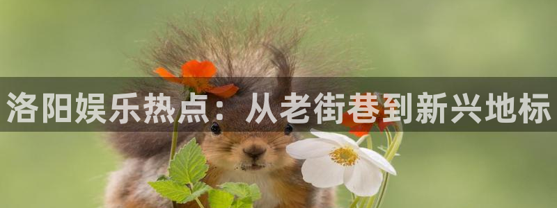 彩神vii官方